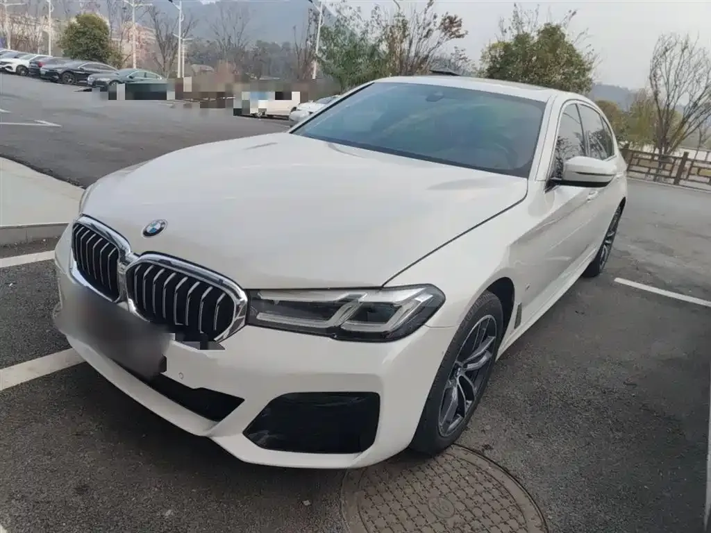 BMW 5 Series 2021 из CN, фото 8