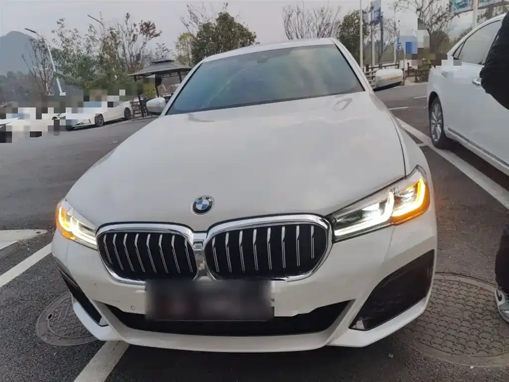 BMW 5 Series 2021 из CN, фото 7