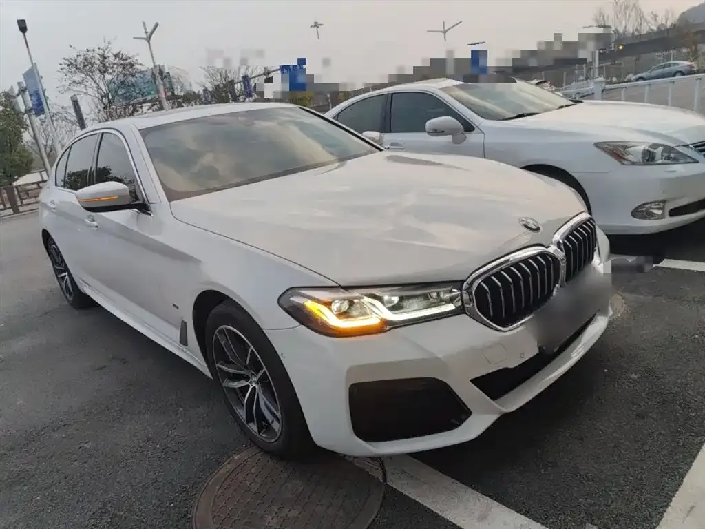 BMW 5 Series 2021 из CN, фото 10
