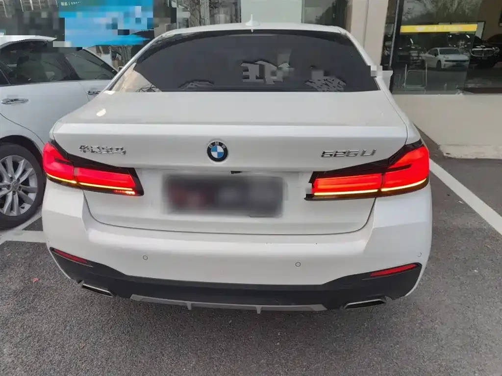 BMW 5 Series 2021 из CN, фото 9