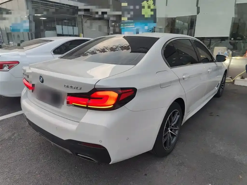 BMW 5 Series 2021 из CN, фото 4