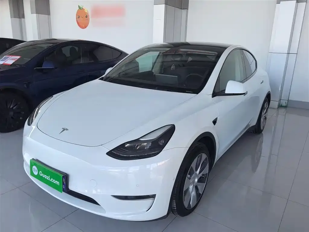 Tesla Model Y 2021 из CN, фото 1