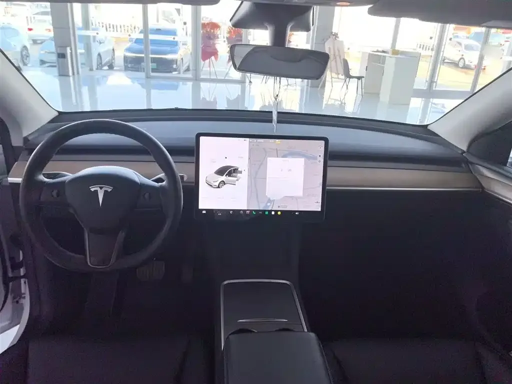 Tesla Model Y 2021 из CN, фото 10