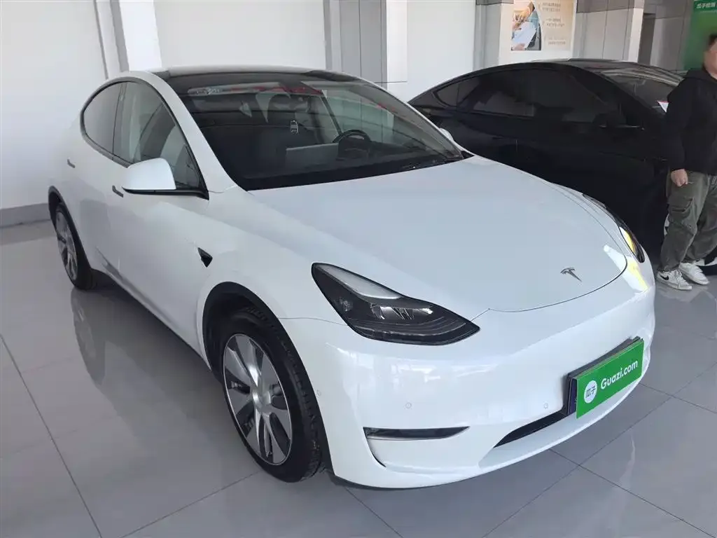 Tesla Model Y 2021 из CN, фото 4