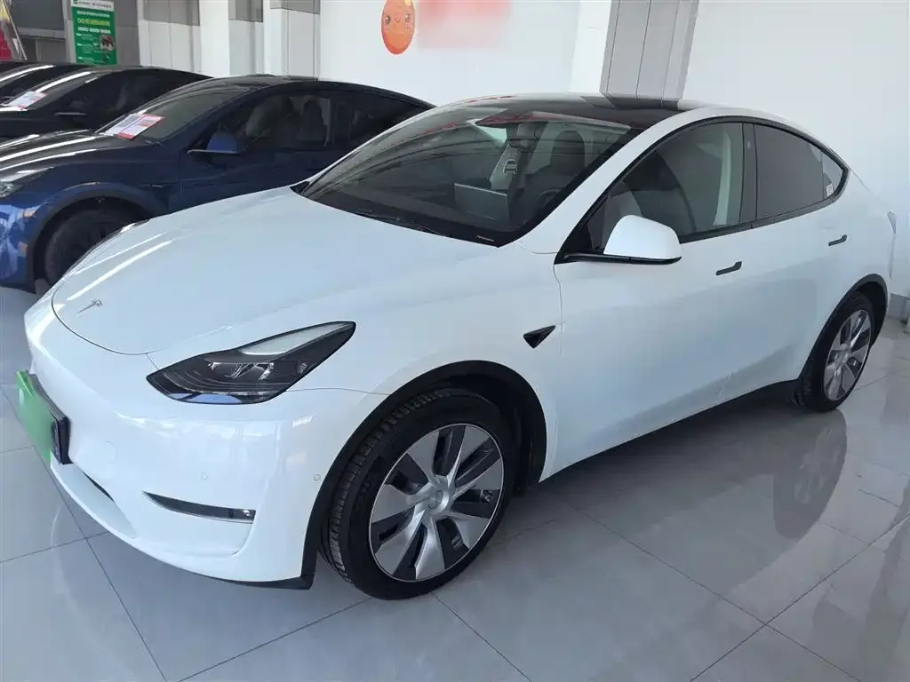 Tesla Model Y 2021 из CN, фото 5