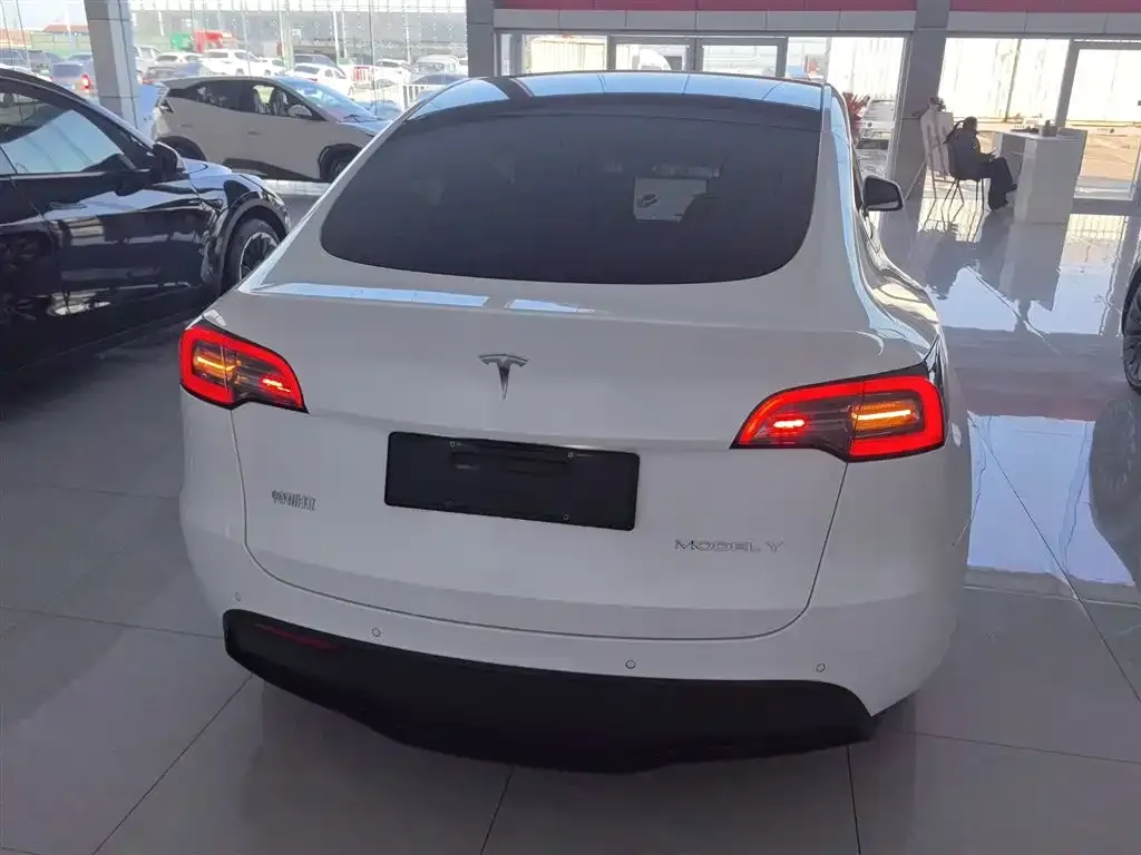 Tesla Model Y 2021 из CN, фото 6
