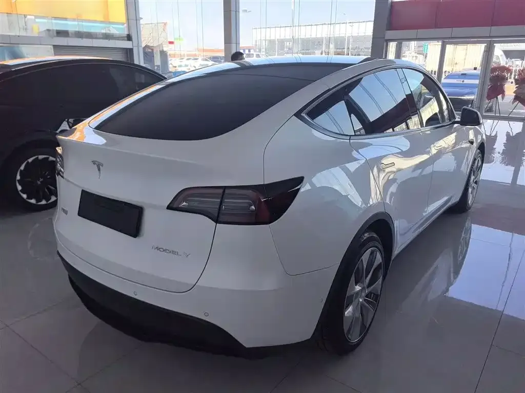 Tesla Model Y 2021 из CN, фото 7