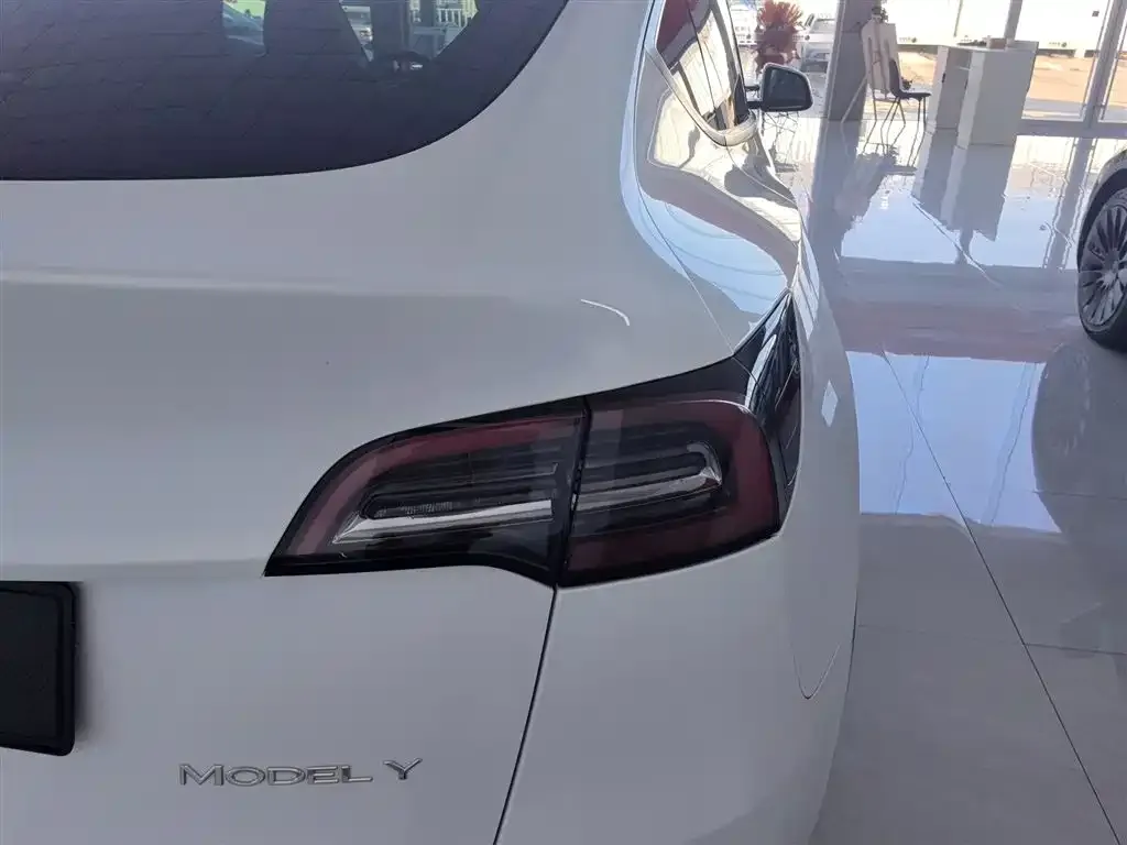 Tesla Model Y 2021 из CN, фото 8