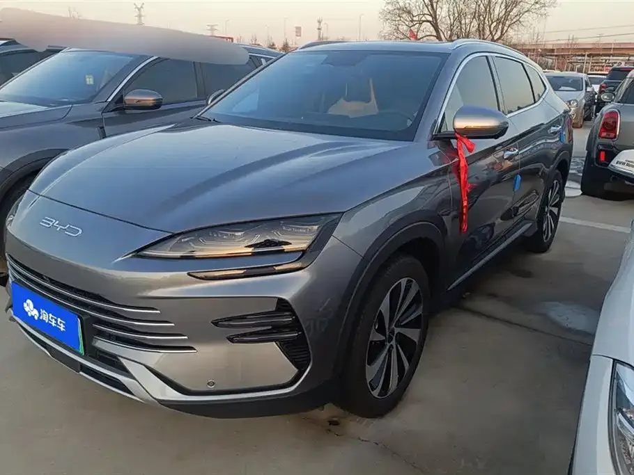 BYD PLUS New Energy 2024 из CN, фото 1