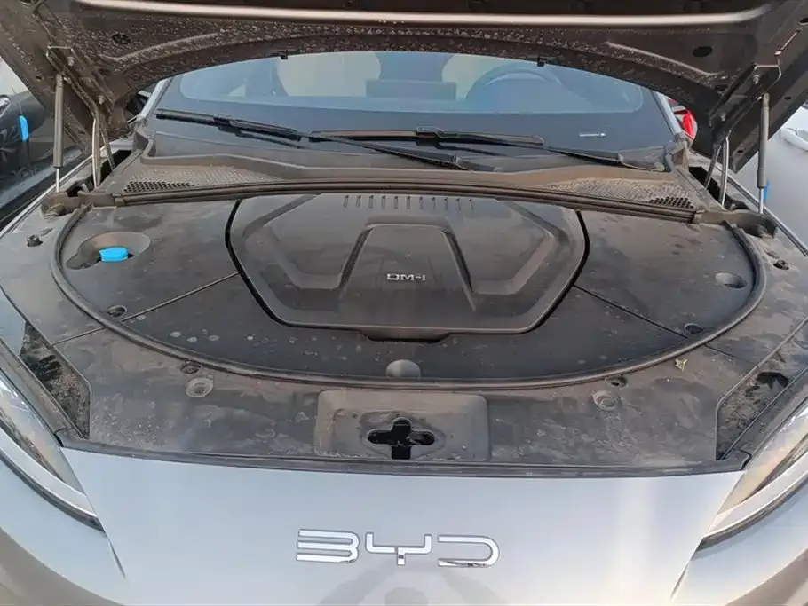 BYD PLUS New Energy 2024 из CN, фото 10