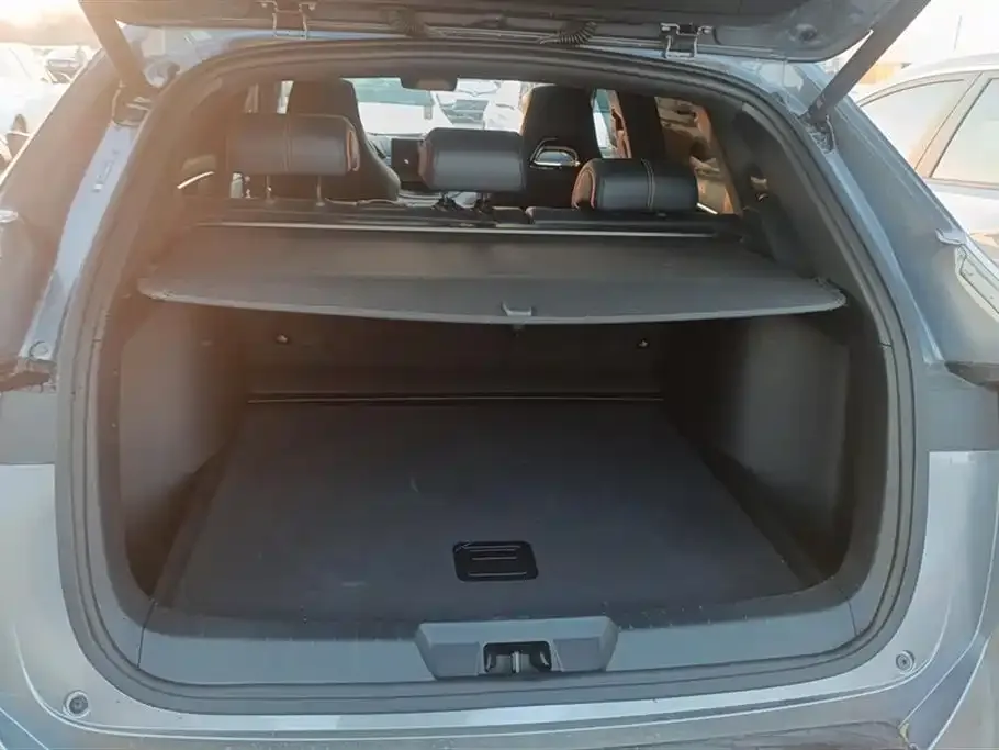 BYD PLUS New Energy 2024 из CN, фото 4