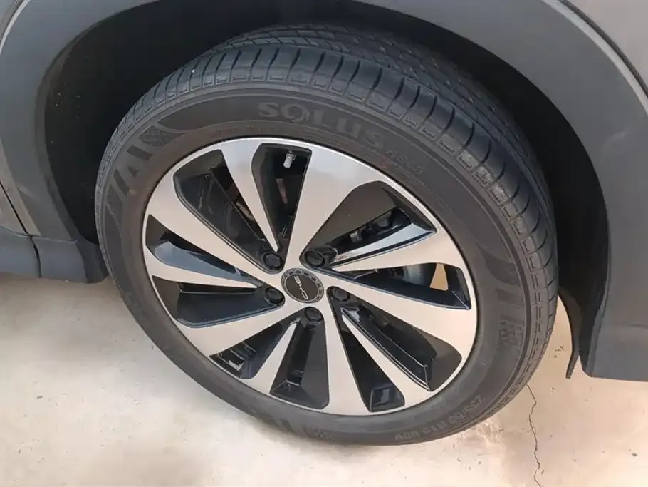 BYD PLUS New Energy 2024 из CN, фото 6