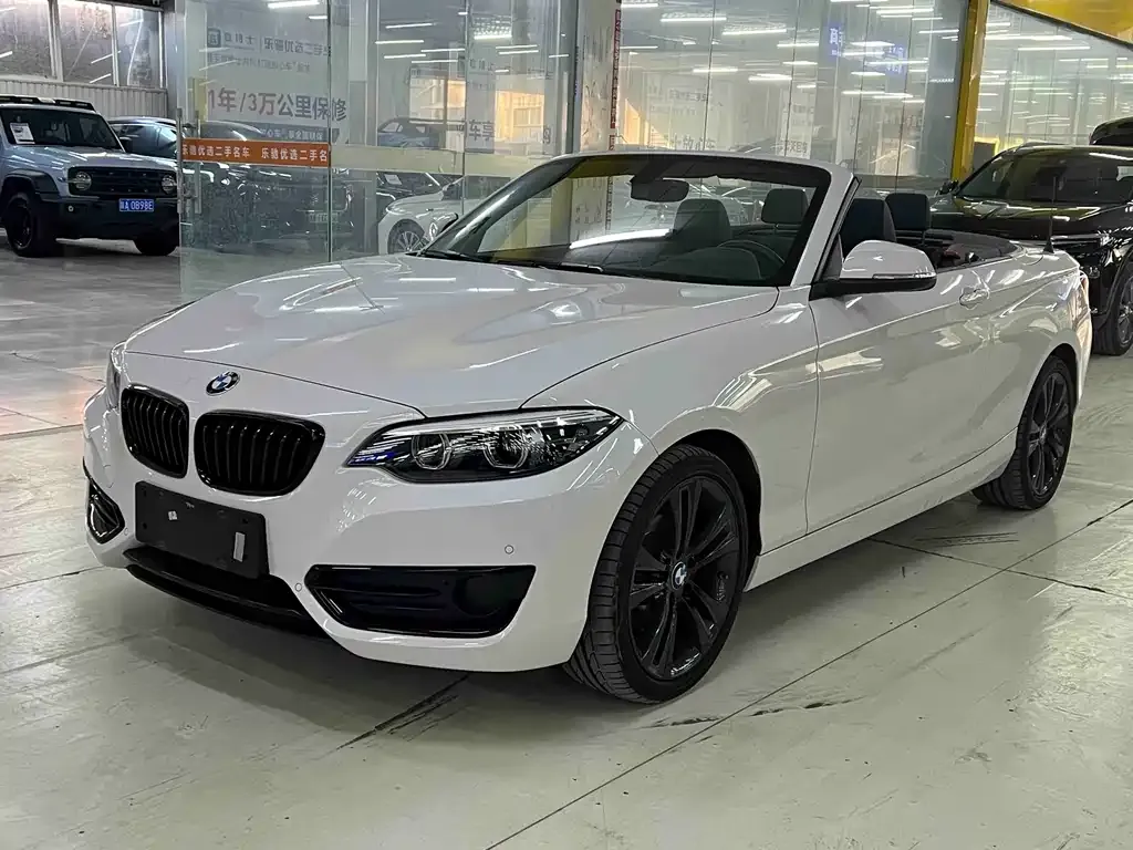 BMW 2 Series (Import) 2021 из CN, фото 1