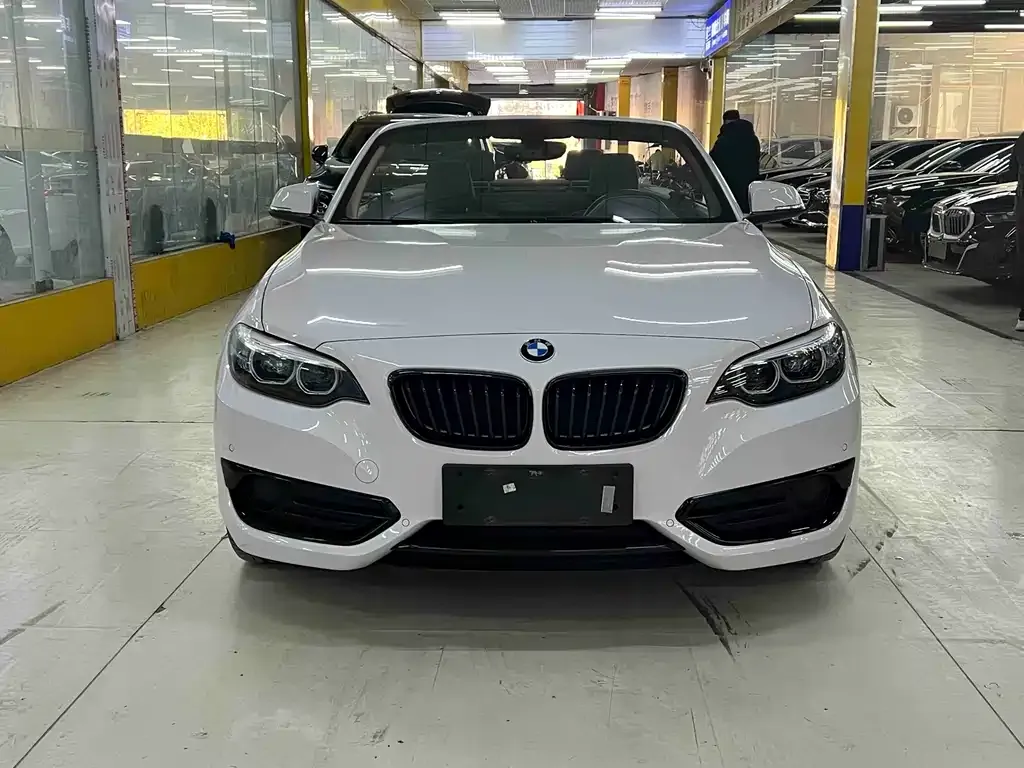 BMW 2 Series (Import) 2021 из CN, фото 2