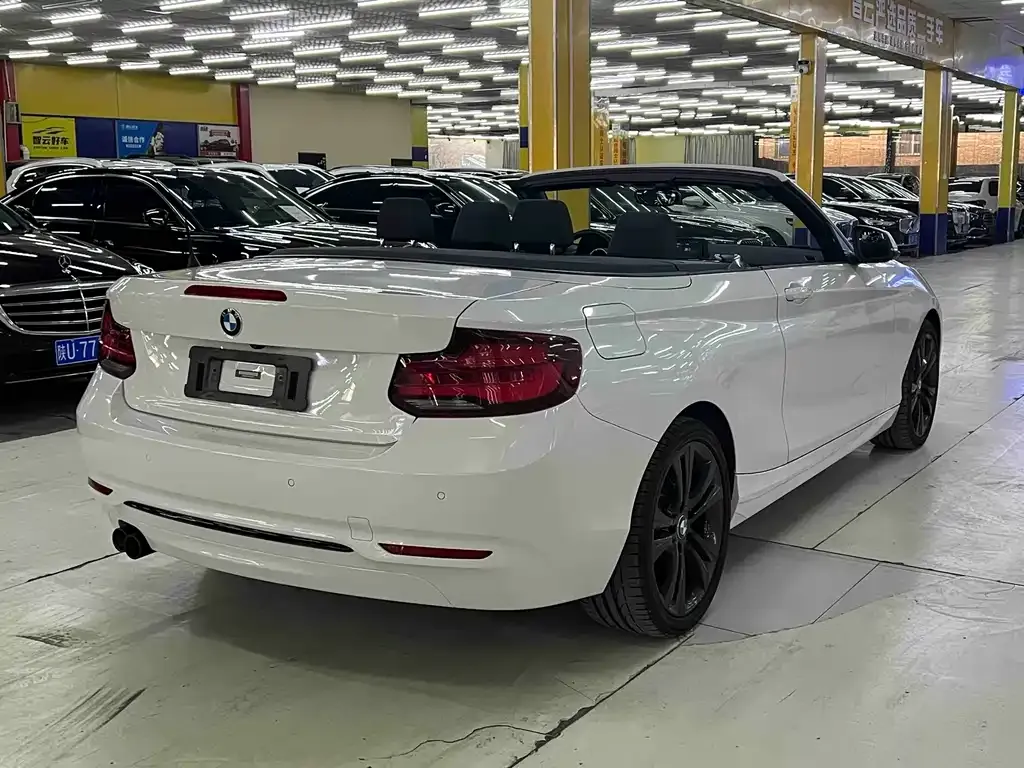 BMW 2 Series (Import) 2021 из CN, фото 7