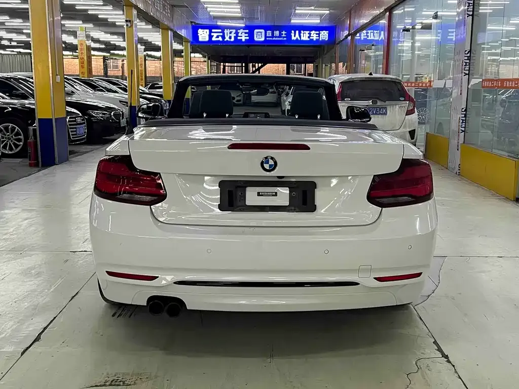 BMW 2 Series (Import) 2021 из CN, фото 8