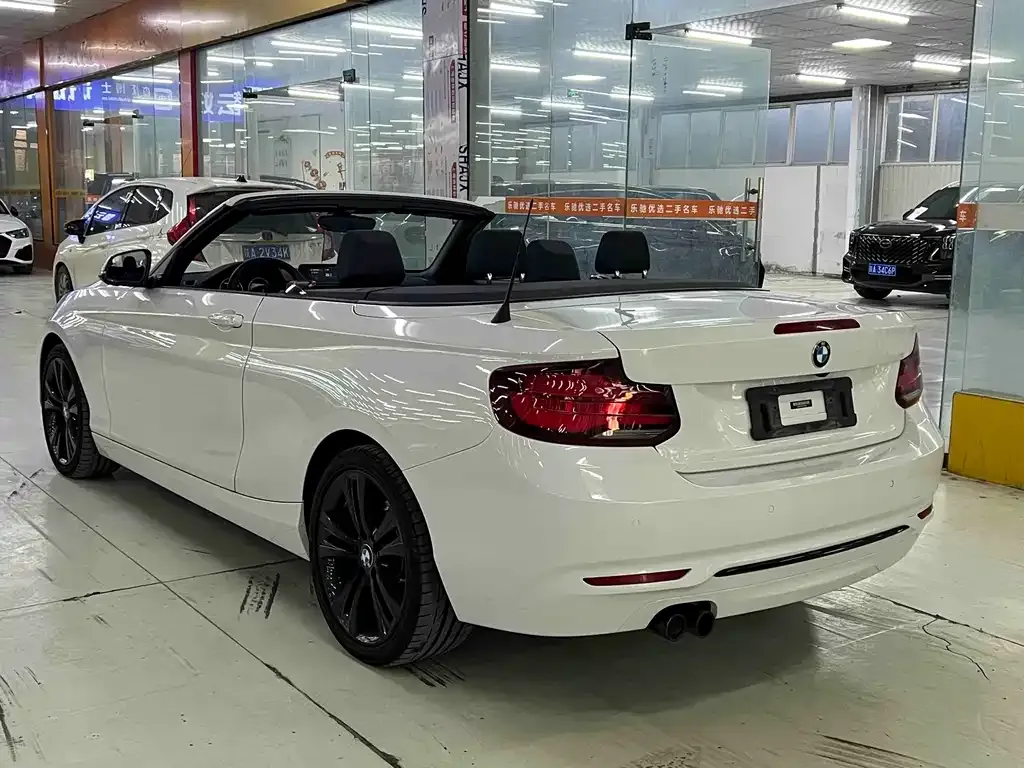 BMW 2 Series (Import) 2021 из CN, фото 9