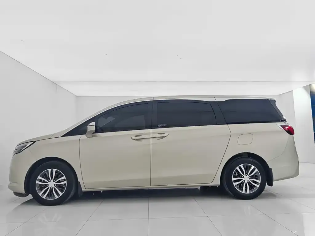 Buick GL8 2021 из CN, фото 2