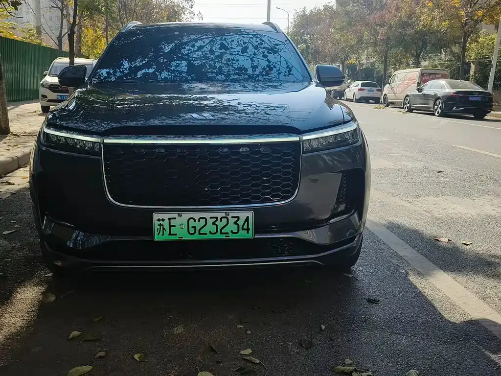 Li Auto ONE 2021 из CN, фото 2