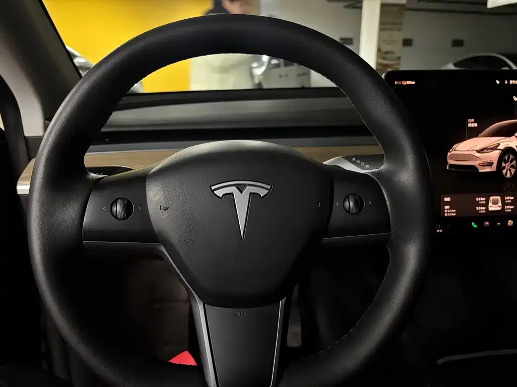 Tesla Model Y 2023 из CN, фото 7