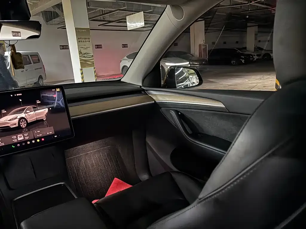 Tesla Model Y 2023 из CN, фото 9