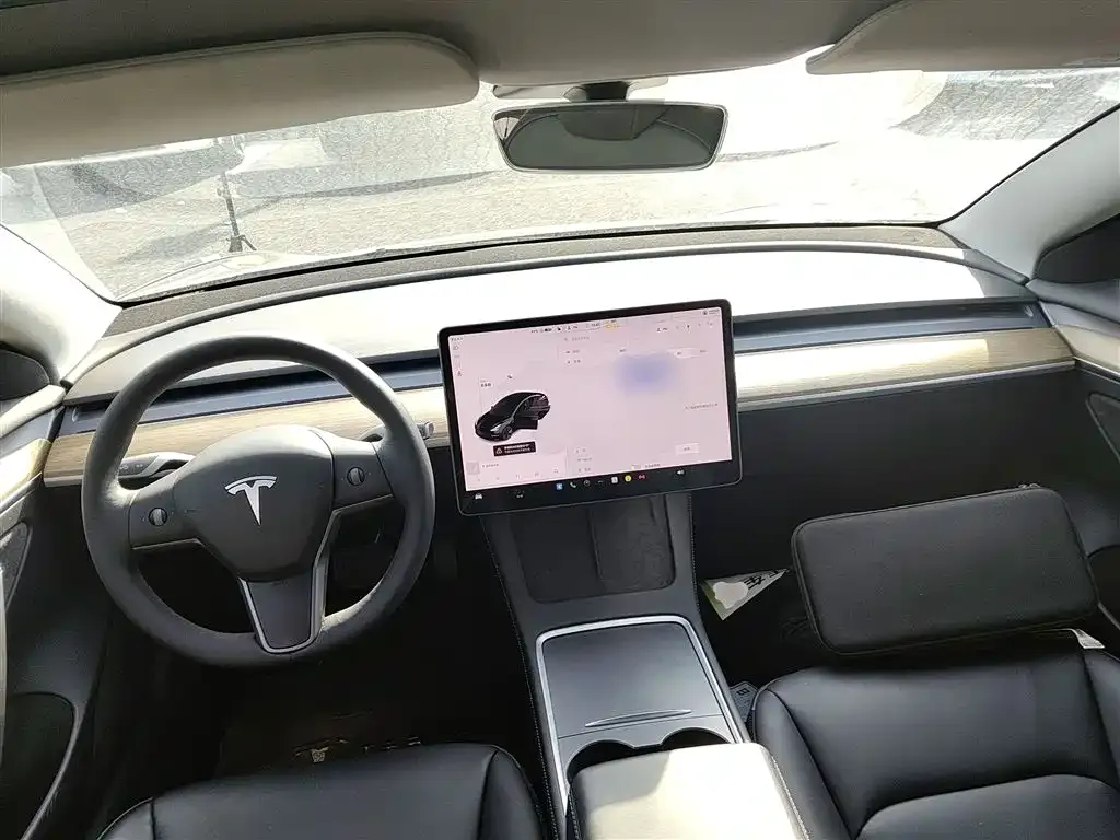 Tesla Model 3 2021 из CN, фото 4