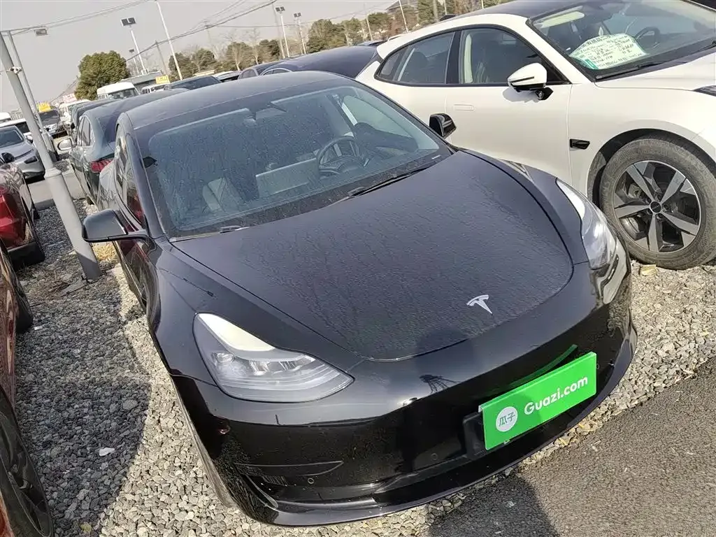 Tesla Model 3 2021 из CN, фото 10