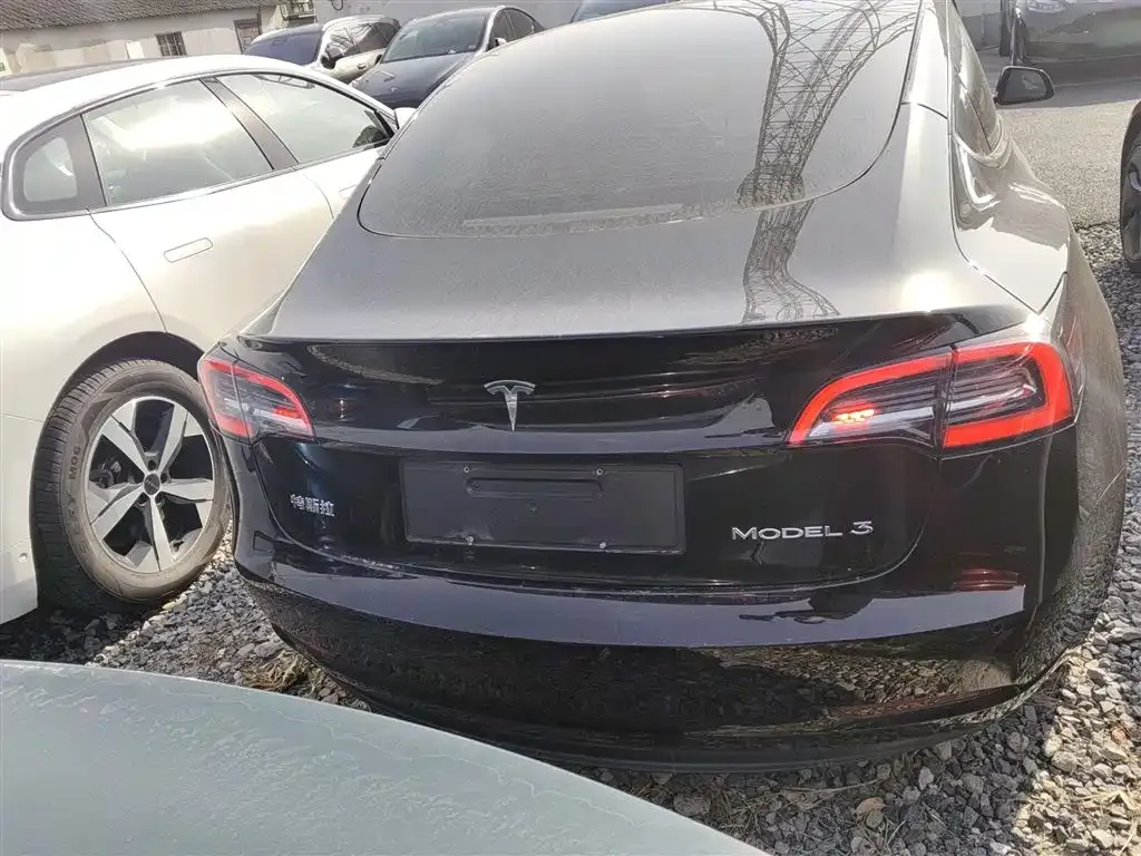Tesla Model 3 2021 из CN, фото 3