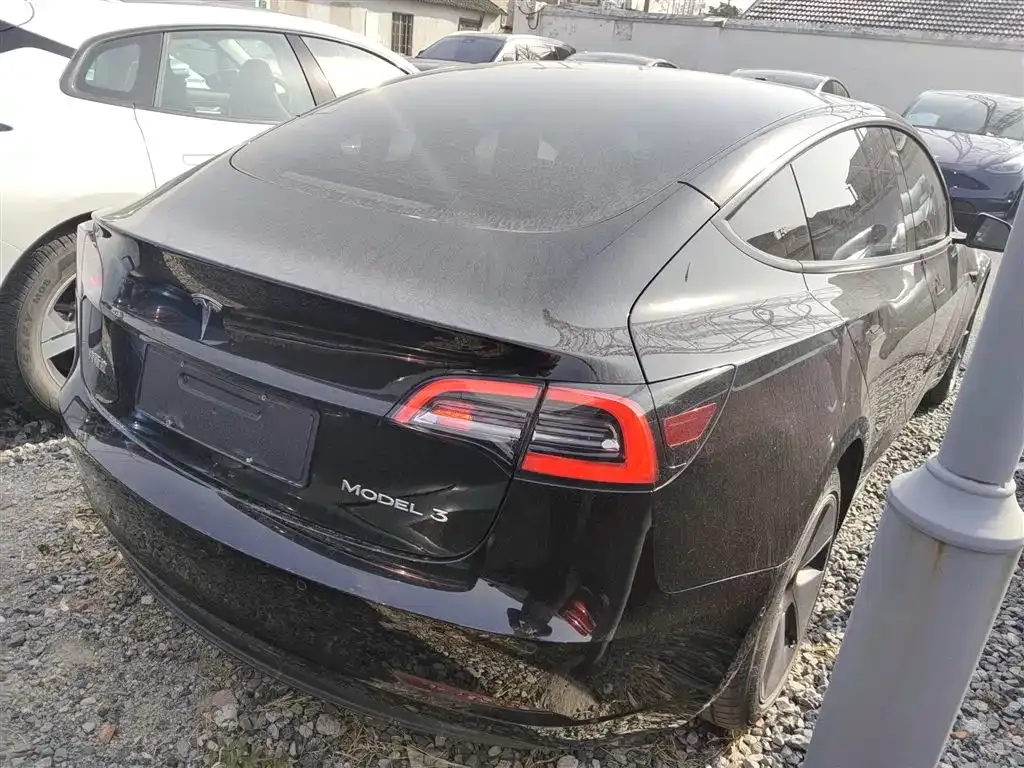 Tesla Model 3 2021 из CN, фото 6
