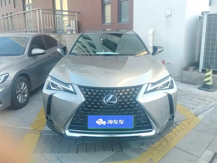 Lexus UX New Energy 2022 из CN, фото 5