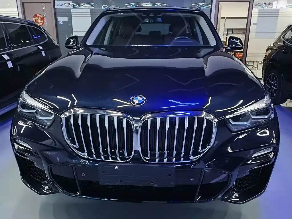 BMW X5 (Import) 2021 из CN, фото 7