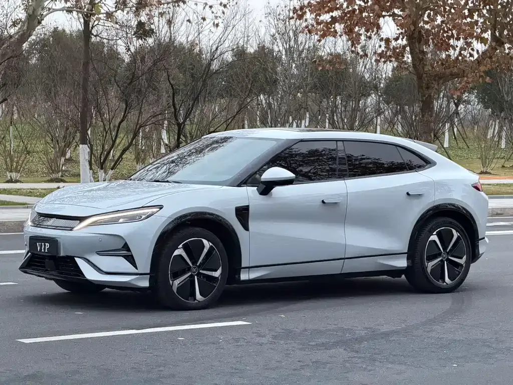BYD L EV 2024 из CN, фото 1
