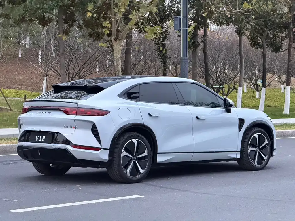 BYD L EV 2024 из CN, фото 5