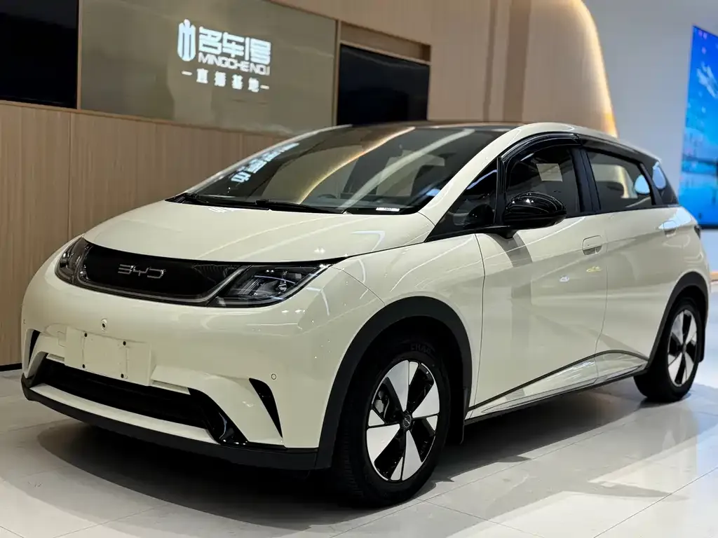 BYD Dolphin 2023 из CN, фото 1