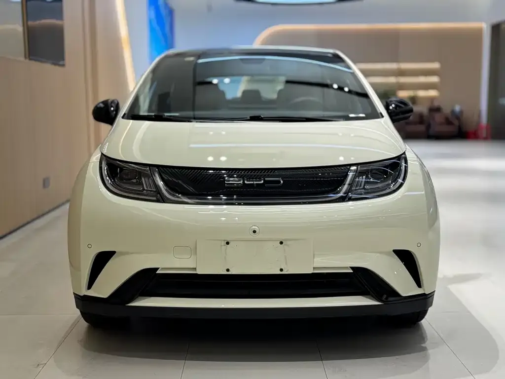 BYD Dolphin 2023 из CN, фото 2