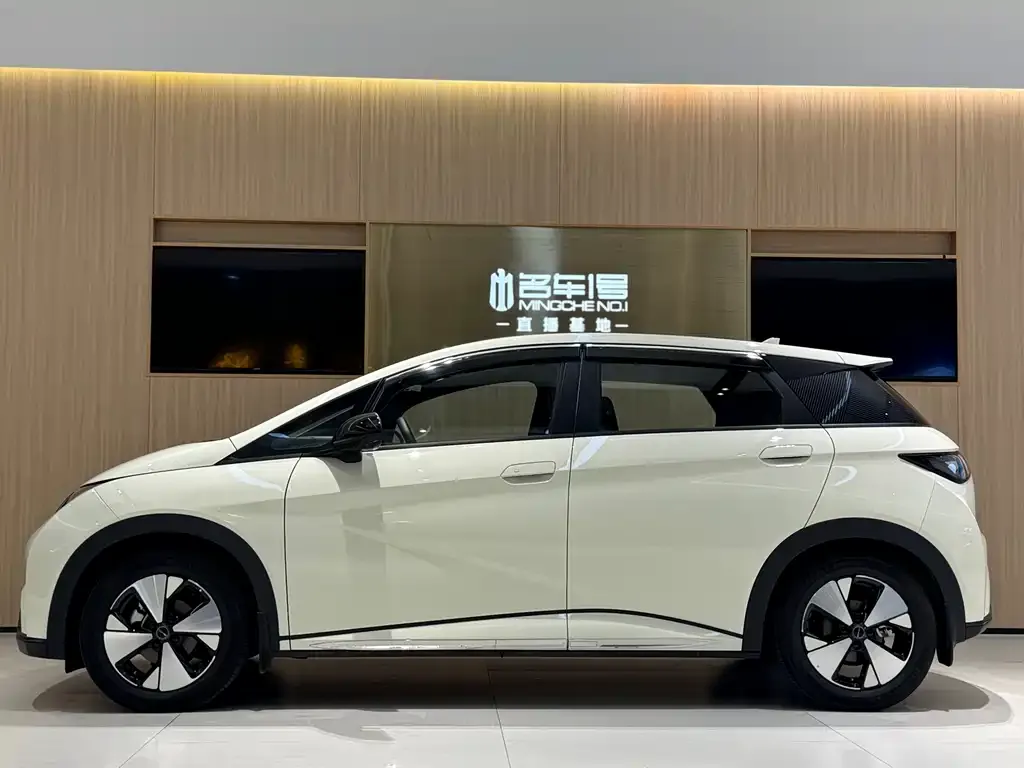 BYD Dolphin 2023 из CN, фото 3