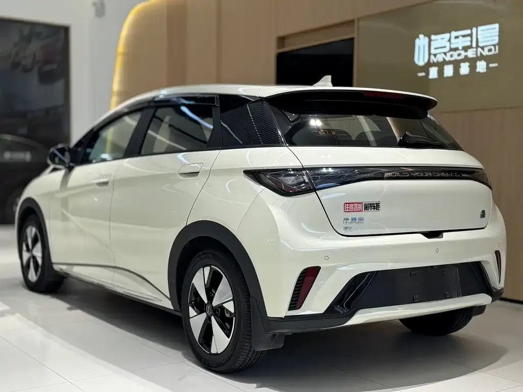 BYD Dolphin 2023 из CN, фото 4