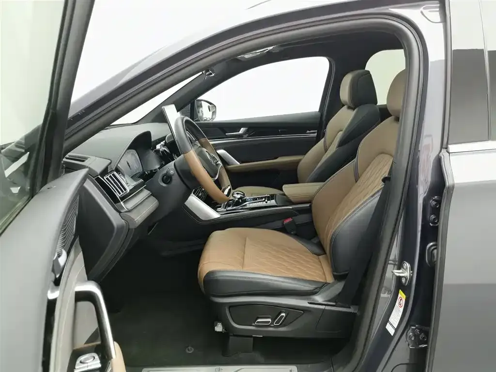 BYD Tang New Energy 2023 из CN, фото 10