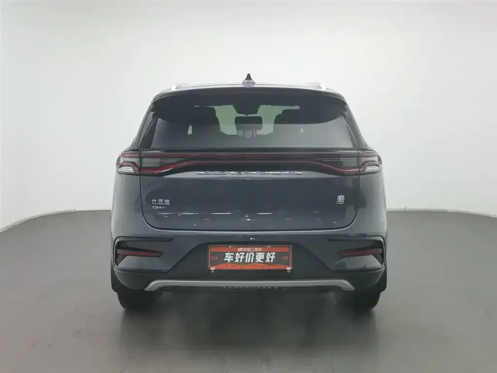 BYD Tang New Energy 2023 из CN, фото 5