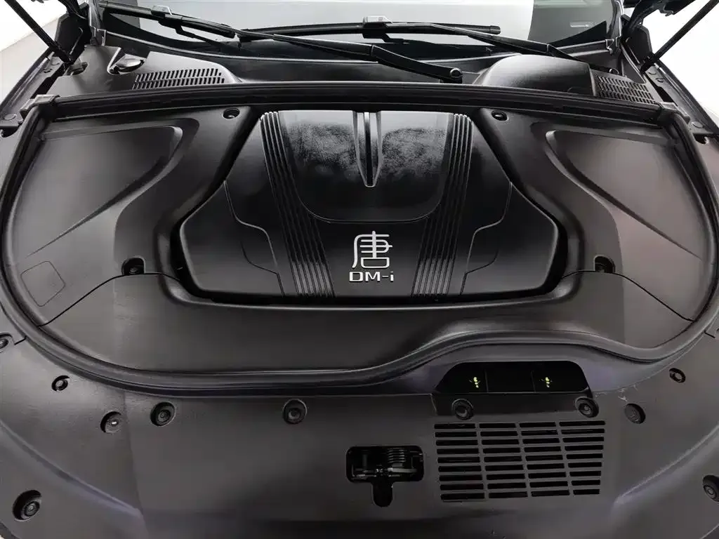 BYD Tang New Energy 2023 из CN, фото 7