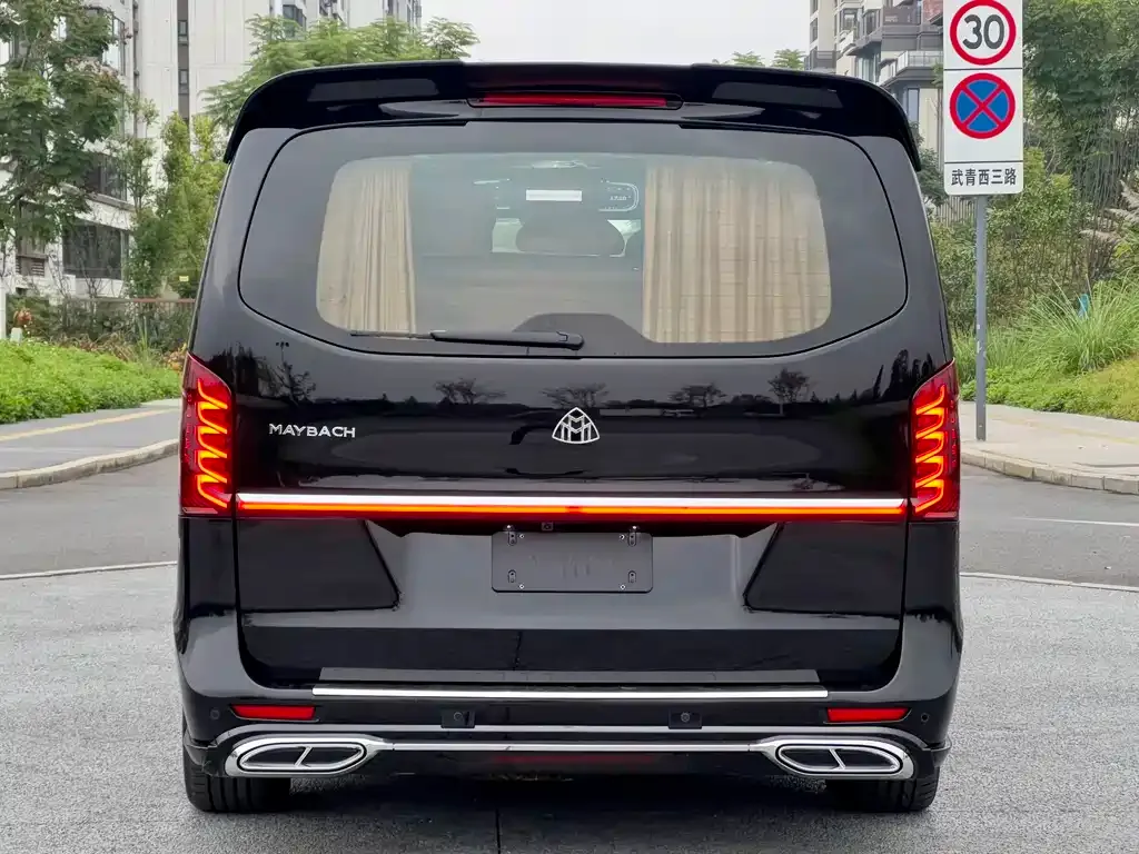 Mercedes-Benz Vito 2024 из CN, фото 8