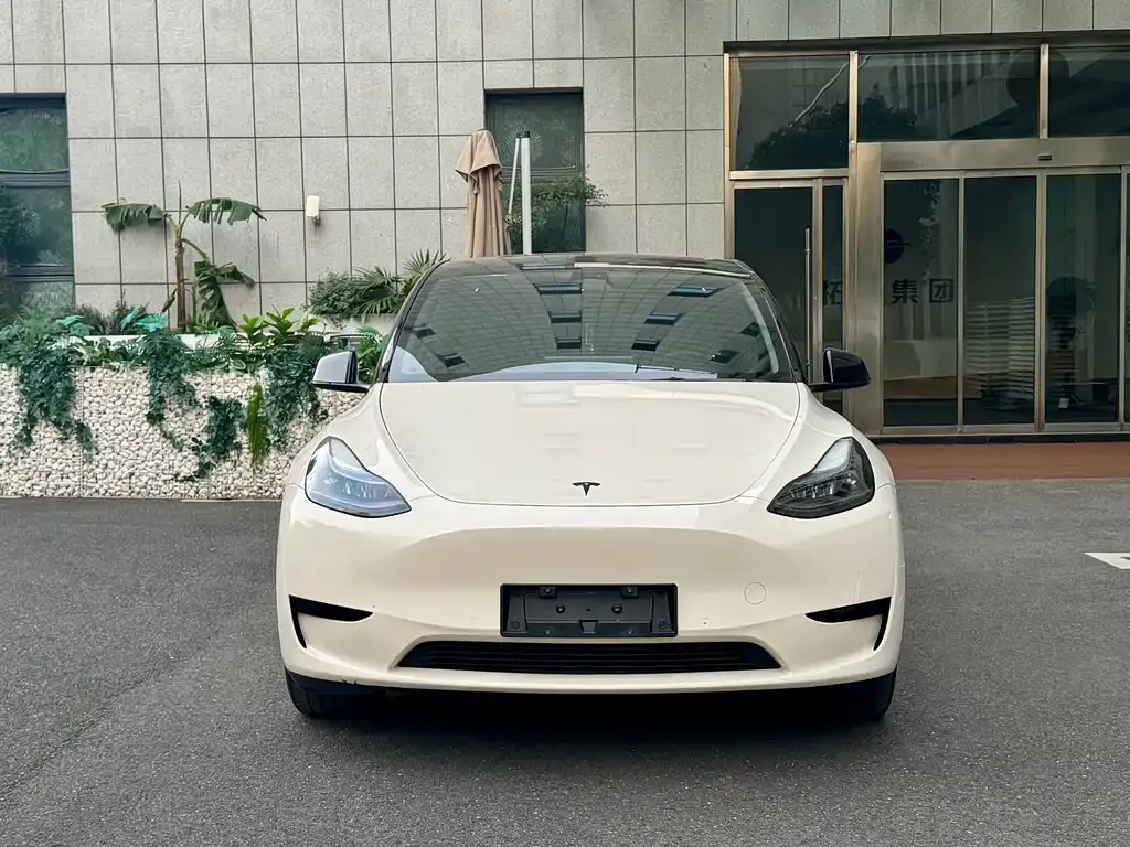 Tesla Model Y 2023 из CN, фото 1