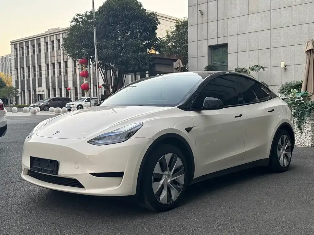 Tesla Model Y 2023 из CN, фото 8