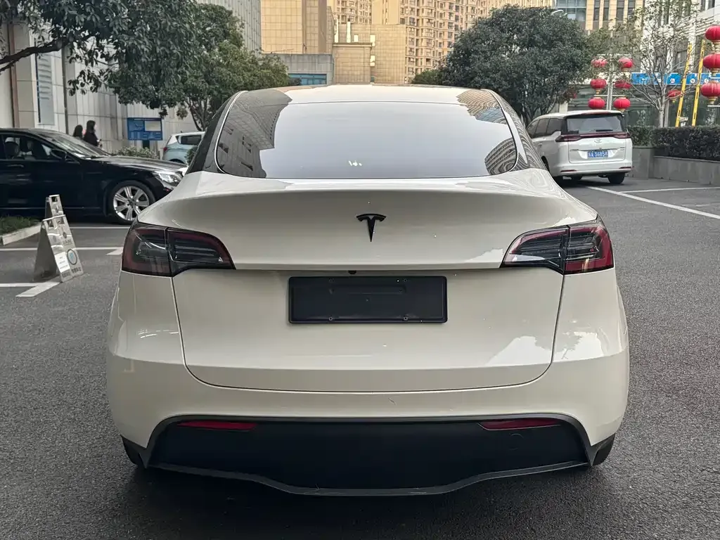 Tesla Model Y 2023 из CN, фото 6