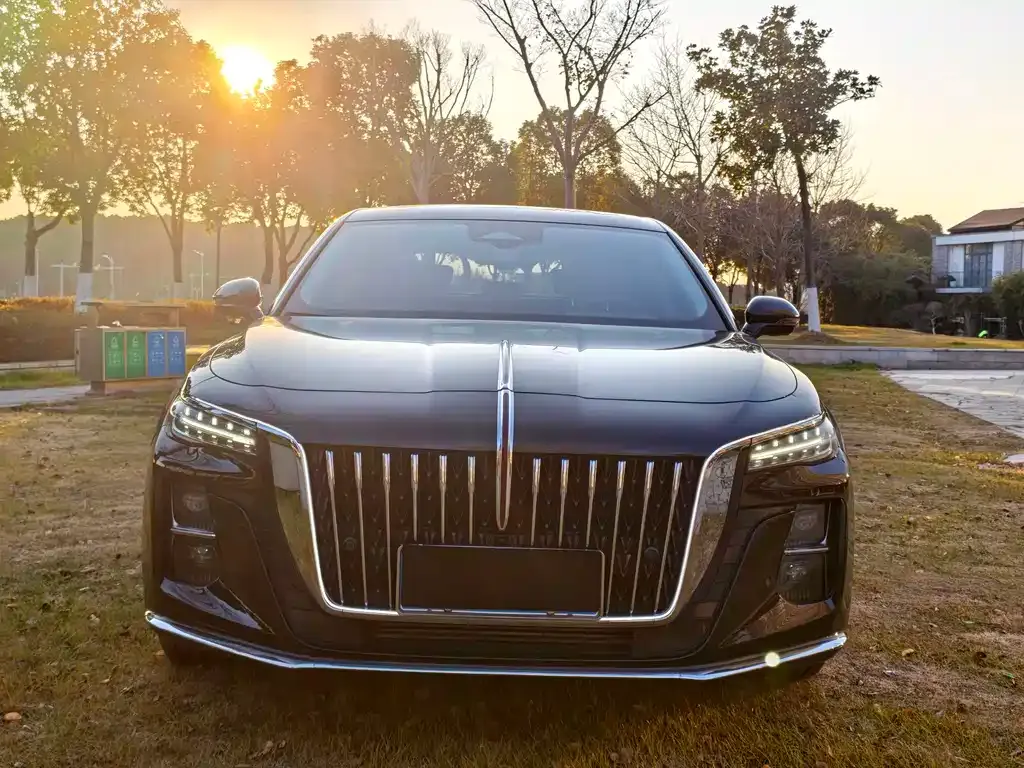 Hongqi H5 2023 из CN, фото 3