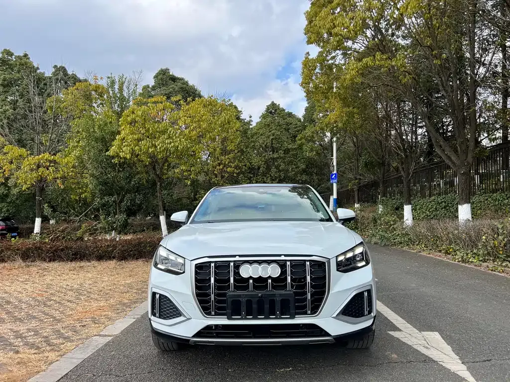 Audi Q2L 2023 из CN, фото 10