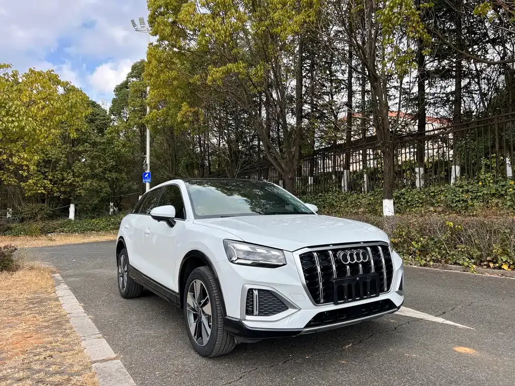 Audi Q2L 2023 из CN, фото 8