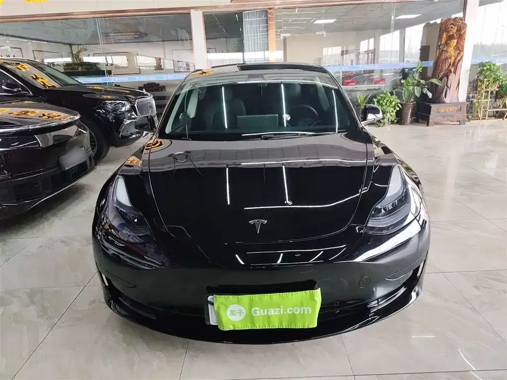Tesla Model 3 2023 из CN, фото 5