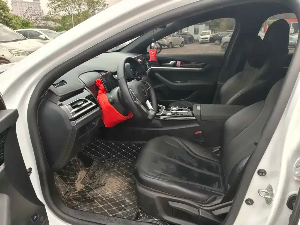 BYD Qin PLUS 2025 из CN, фото 4