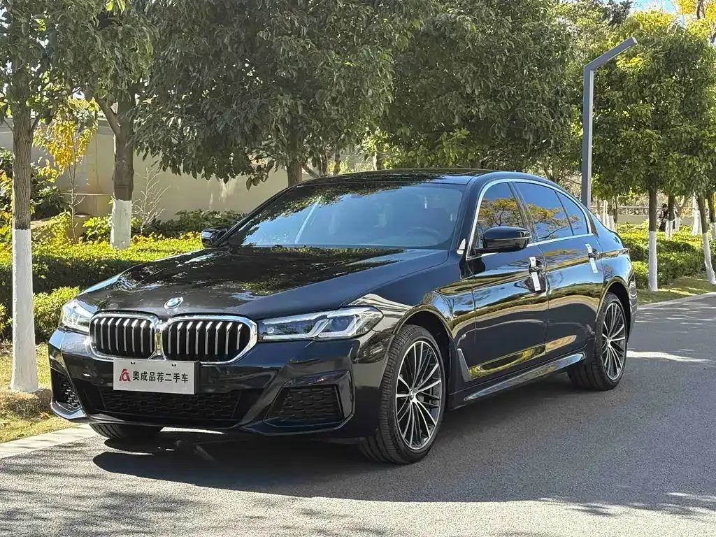 BMW 5 Series 2023 из CN, фото 1